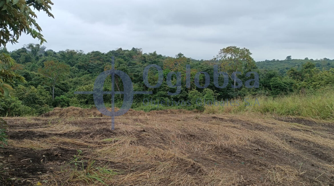 terreno-en-venta-via-la-costa-lomas-del-bosque-oglobsa-bienes-raices-guayaquil-1